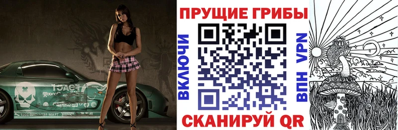 OMG как зайти  Снежногорск  Псилоцибиновые грибы мицелий 